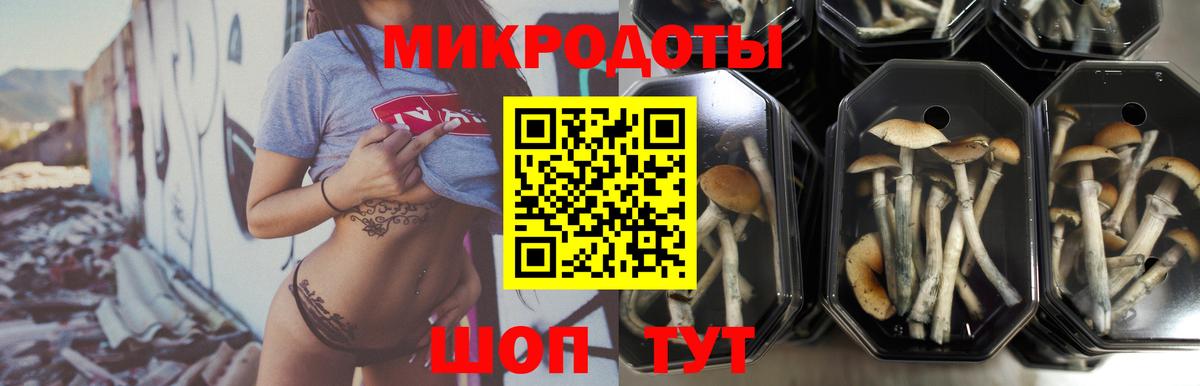 Учалы  купить наркоту  Вход с VPN  Галлюциногенные грибы мицелий 